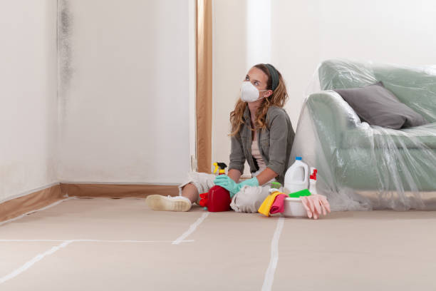 Reliable Mold Remediation contractor in Burnt Cabins, PA by WQB Mold Removal
